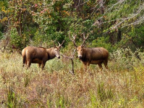 Lot 401 Mallard Way Larue TX 75770