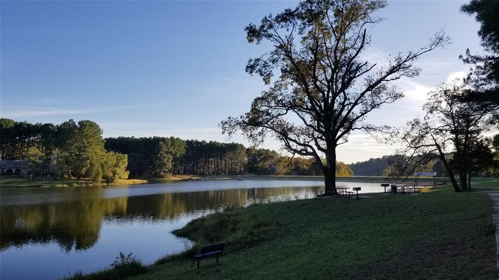 Lot 401 Mallard Way Larue TX 75770