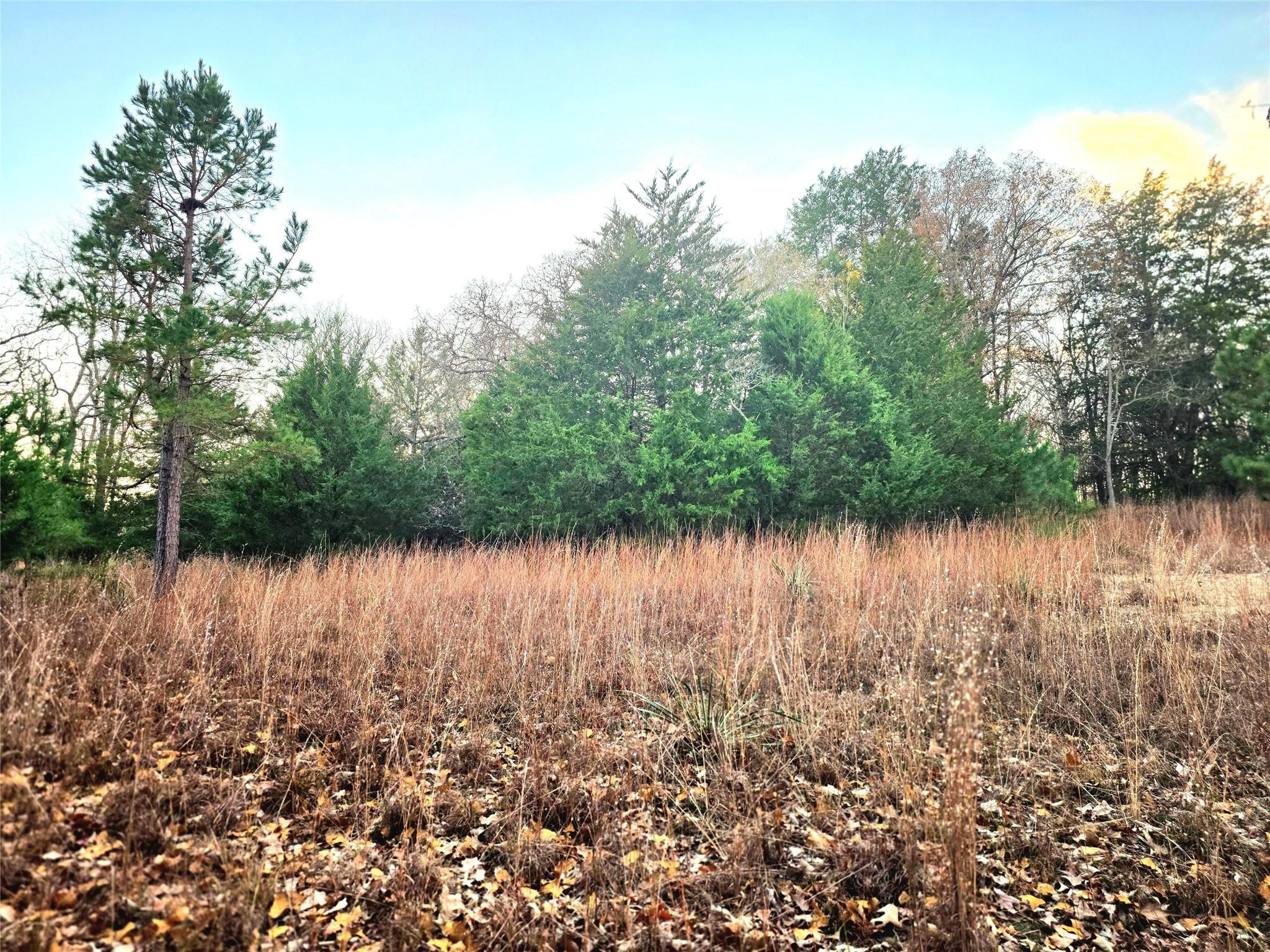 Lot 401 Mallard Way Larue TX 75770