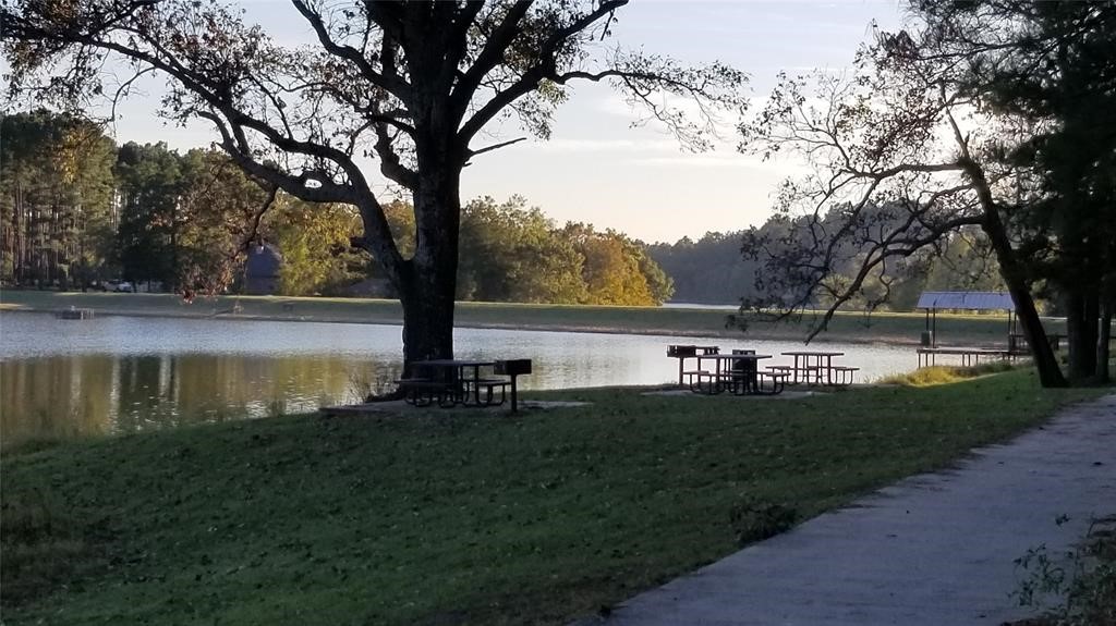 Lot 401 Mallard Way Larue TX 75770
