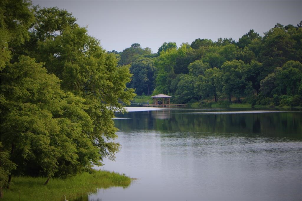 Lot 401 Mallard Way Larue TX 75770