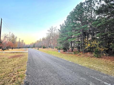 Lot 401 Mallard Way Larue TX 75770