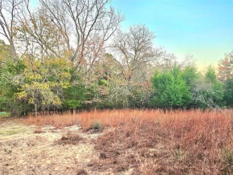 Lot 401 Mallard Way Larue TX 75770