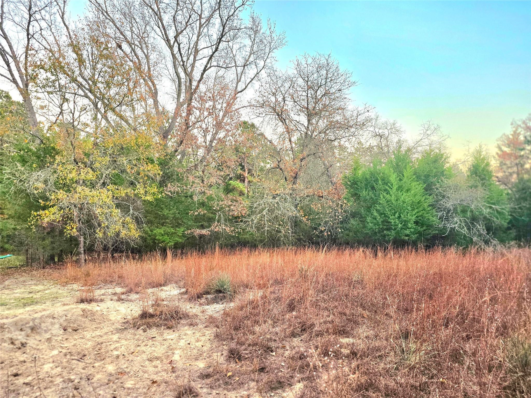 Lot 401 Mallard Way Larue TX 75770