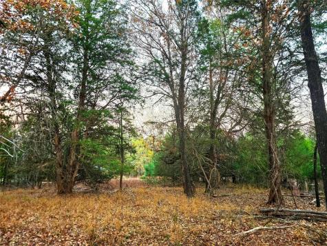 Lot 401 Mallard Way Larue TX 75770