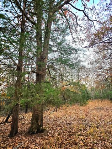 Lot 401 Mallard Way Larue TX 75770