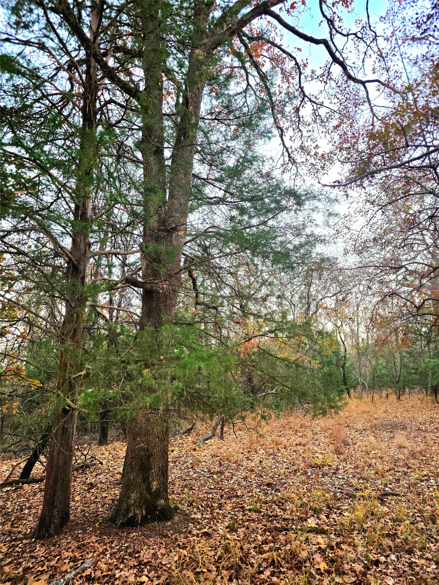 Lot 401 Mallard Way Larue TX 75770