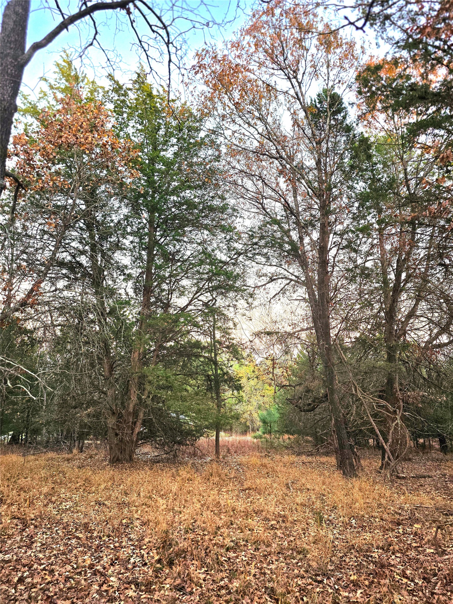 Lot 401 Mallard Way Larue TX 75770