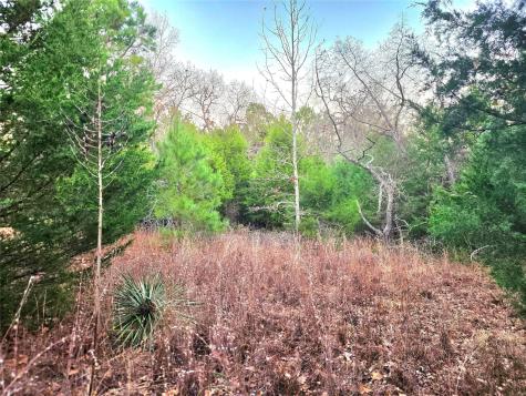 Lot 401 Mallard Way Larue TX 75770