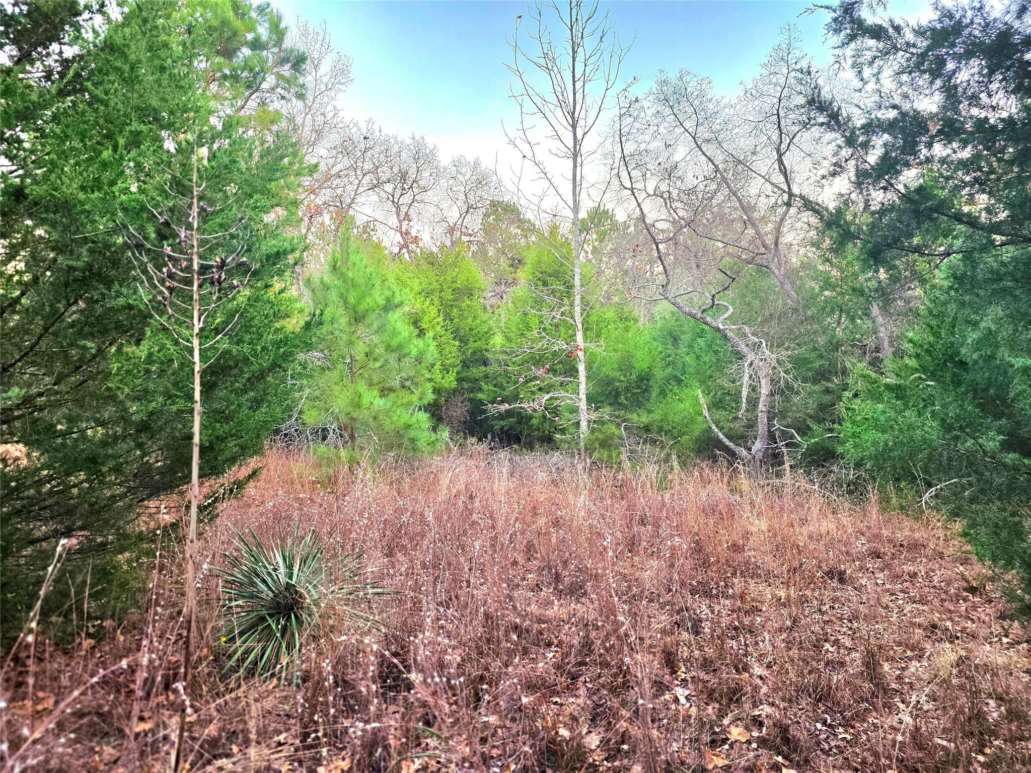 Lot 401 Mallard Way Larue TX 75770