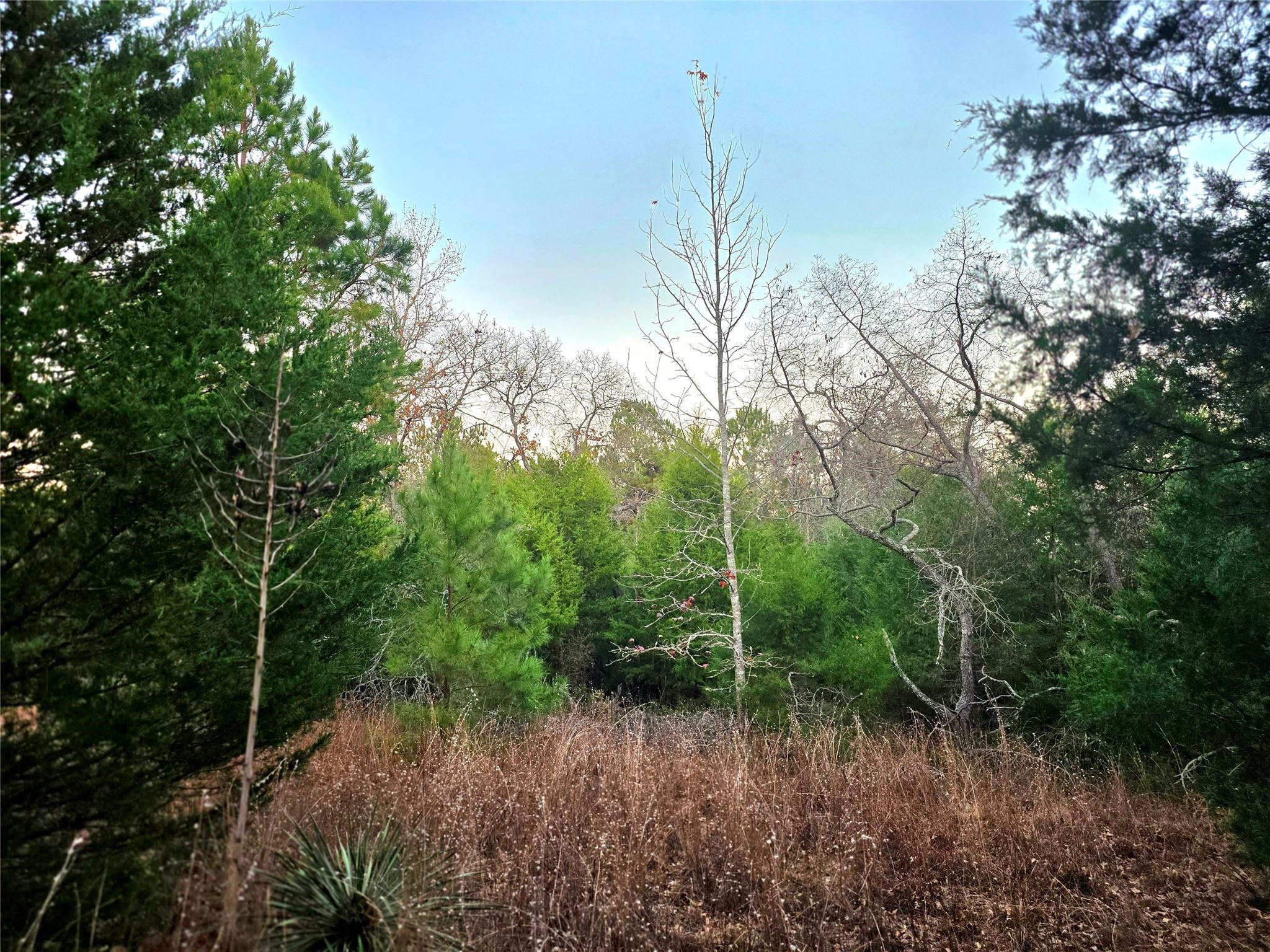 Lot 401 Mallard Way Larue TX 75770