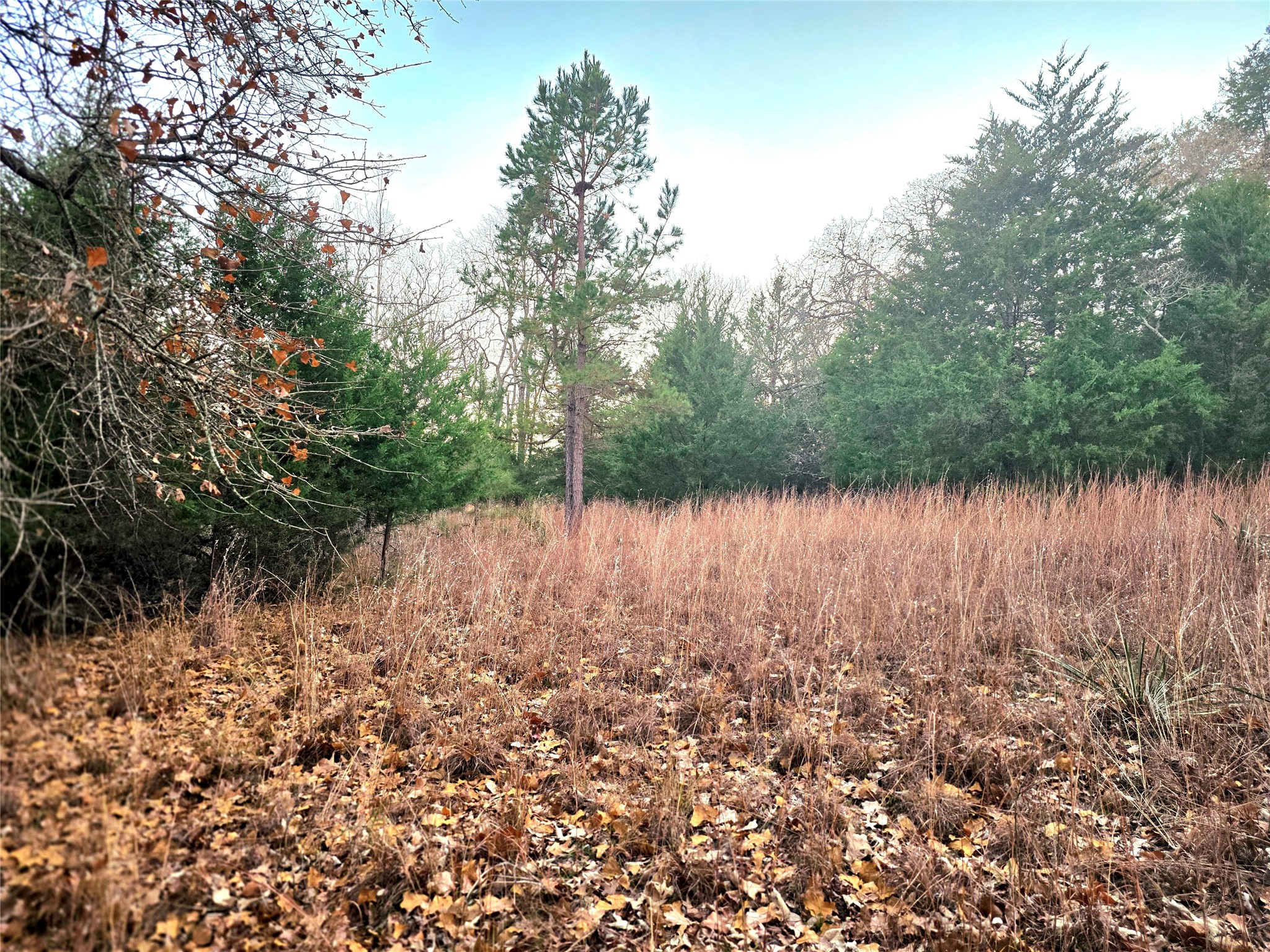 Lot 401 Mallard Way Larue TX 75770
