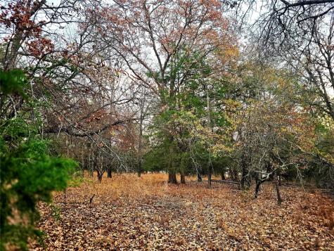 Lot 401 Mallard Way Larue TX 75770