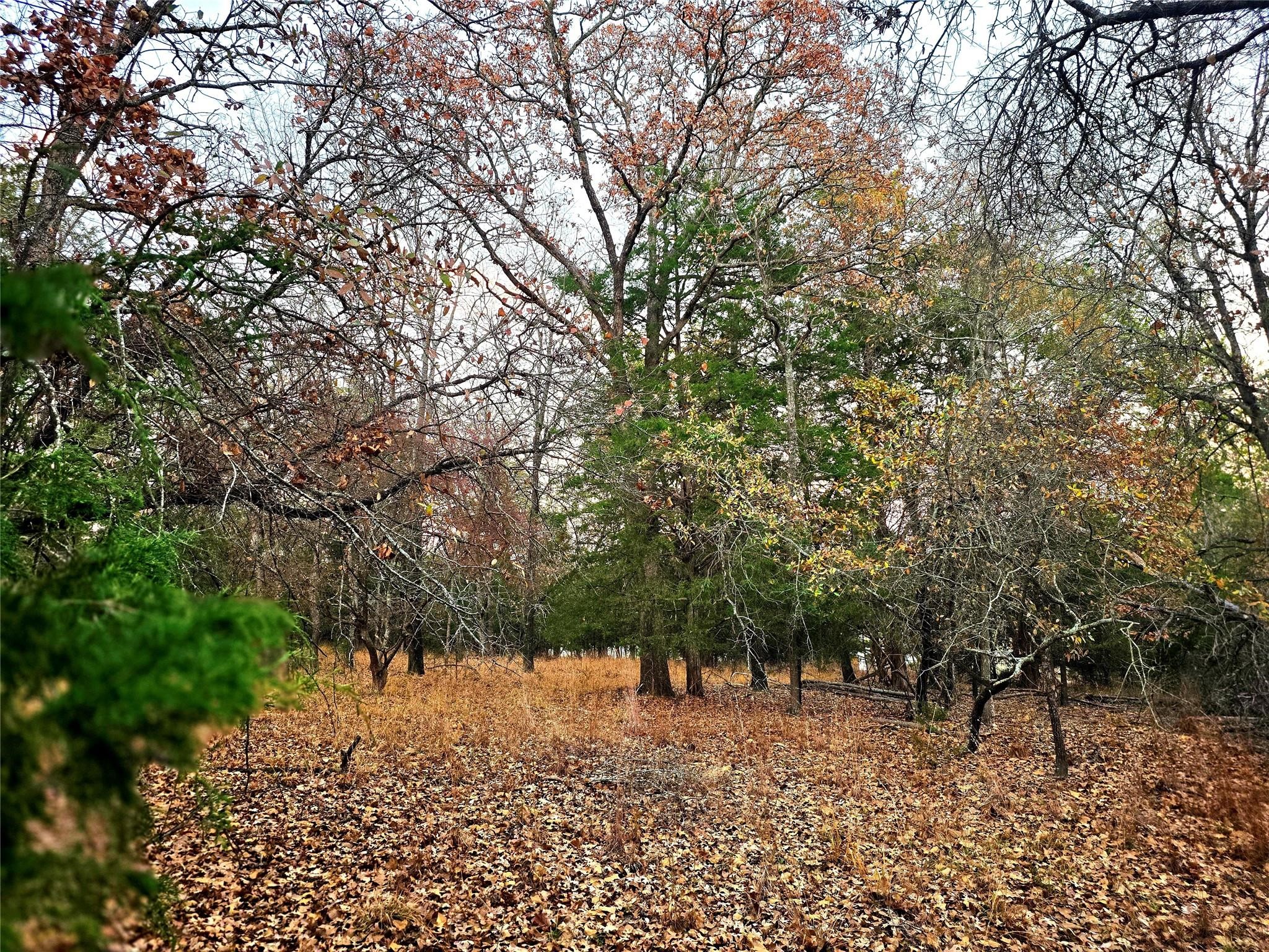 Lot 401 Mallard Way Larue TX 75770