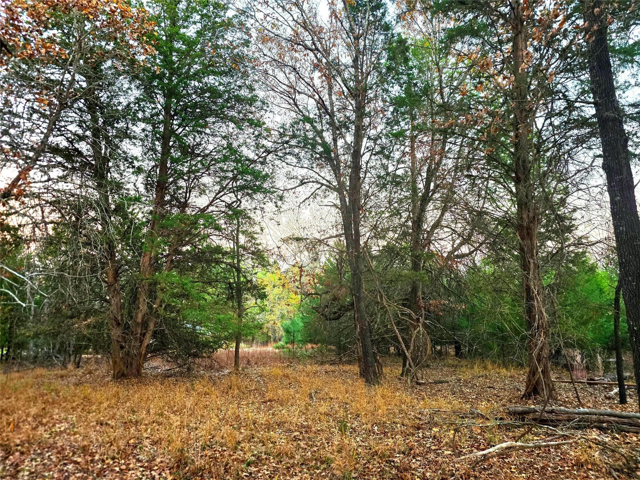 Lot 401 Mallard Way Larue TX 75770