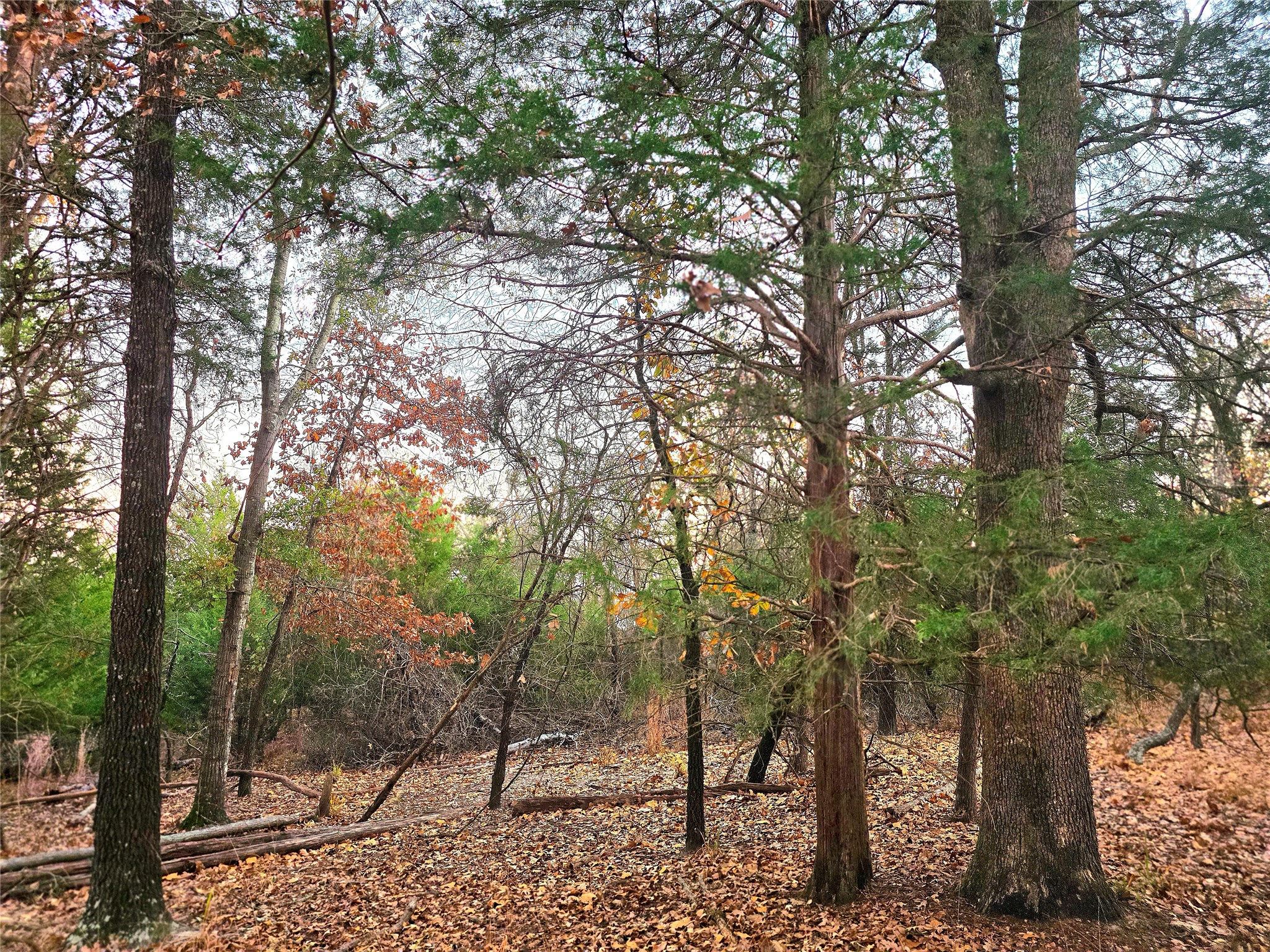 Lot 401 Mallard Way Larue TX 75770