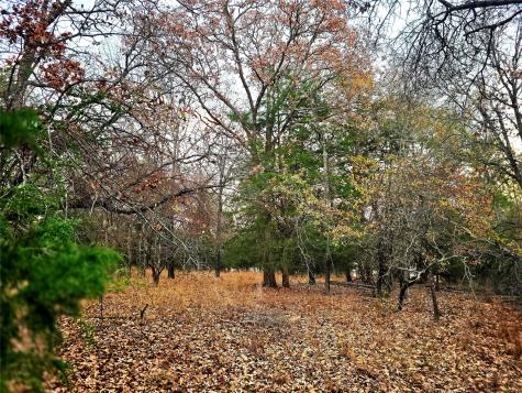 Lot 401 Mallard Way Larue TX 75770