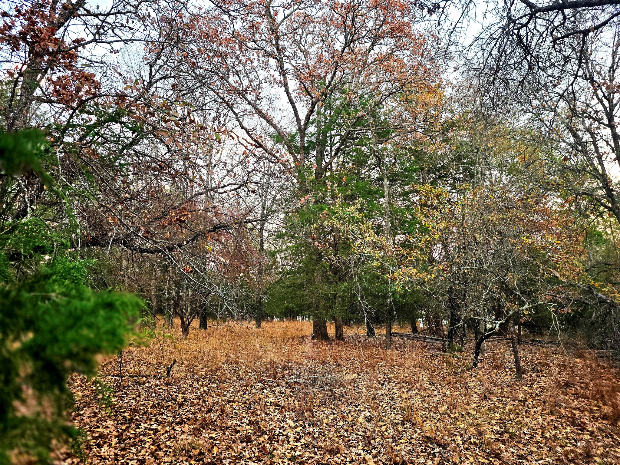 Lot 401 Mallard Way Larue TX 75770