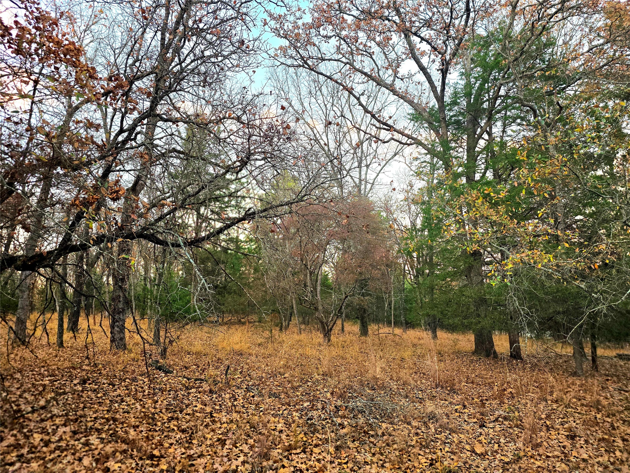 Lot 401 Mallard Way Larue TX 75770