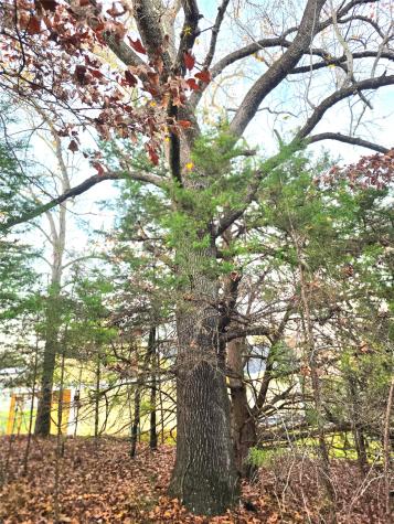 Lot 401 Mallard Way Larue TX 75770