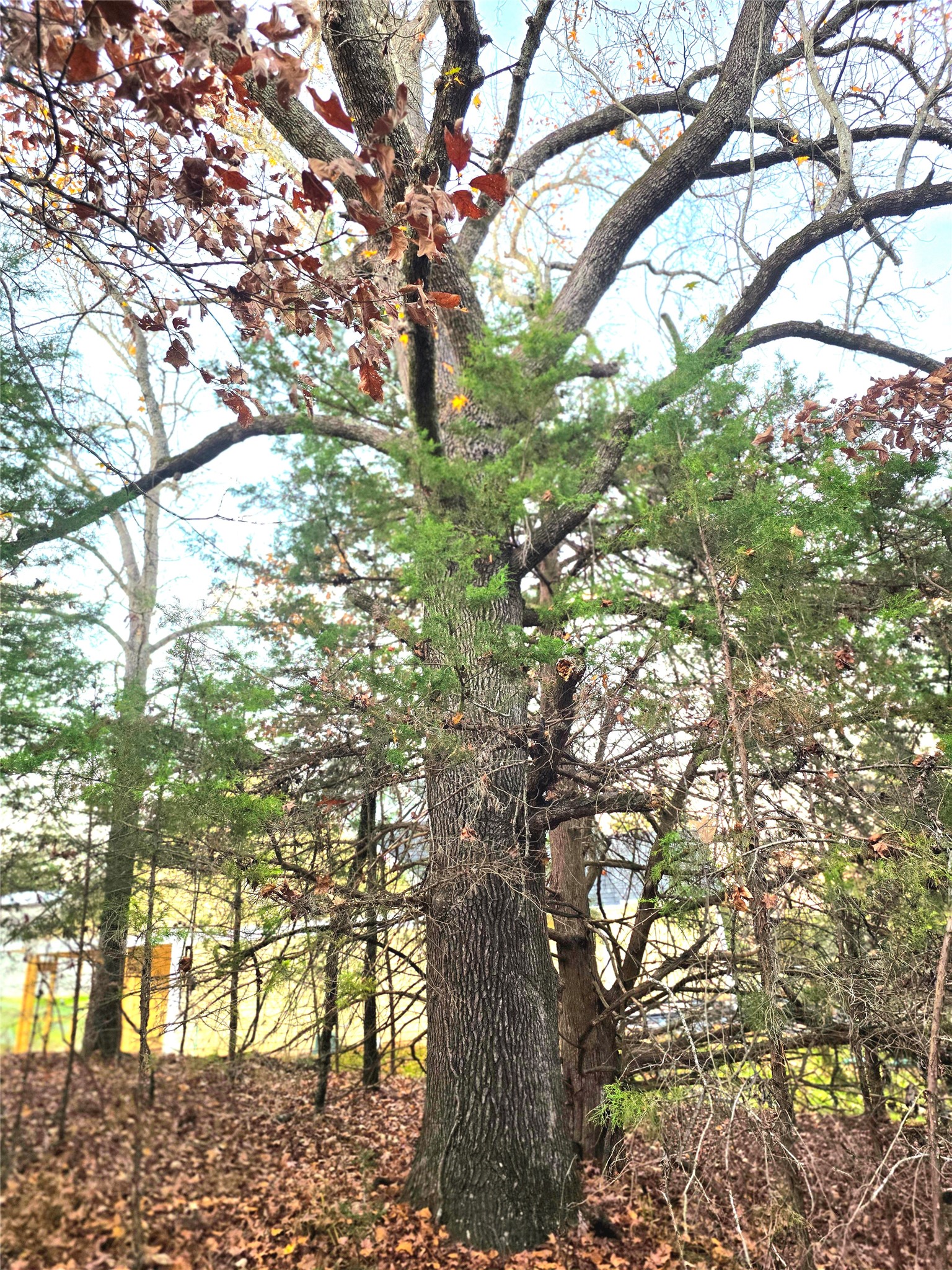 Lot 401 Mallard Way Larue TX 75770