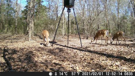 555 Private Road 3428 Milano TX 76558