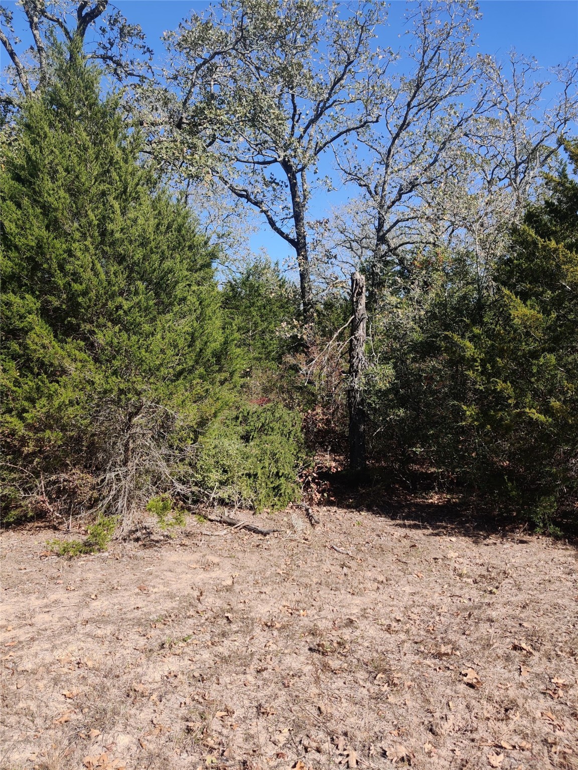 555 Private Road 3428 Milano TX 76558