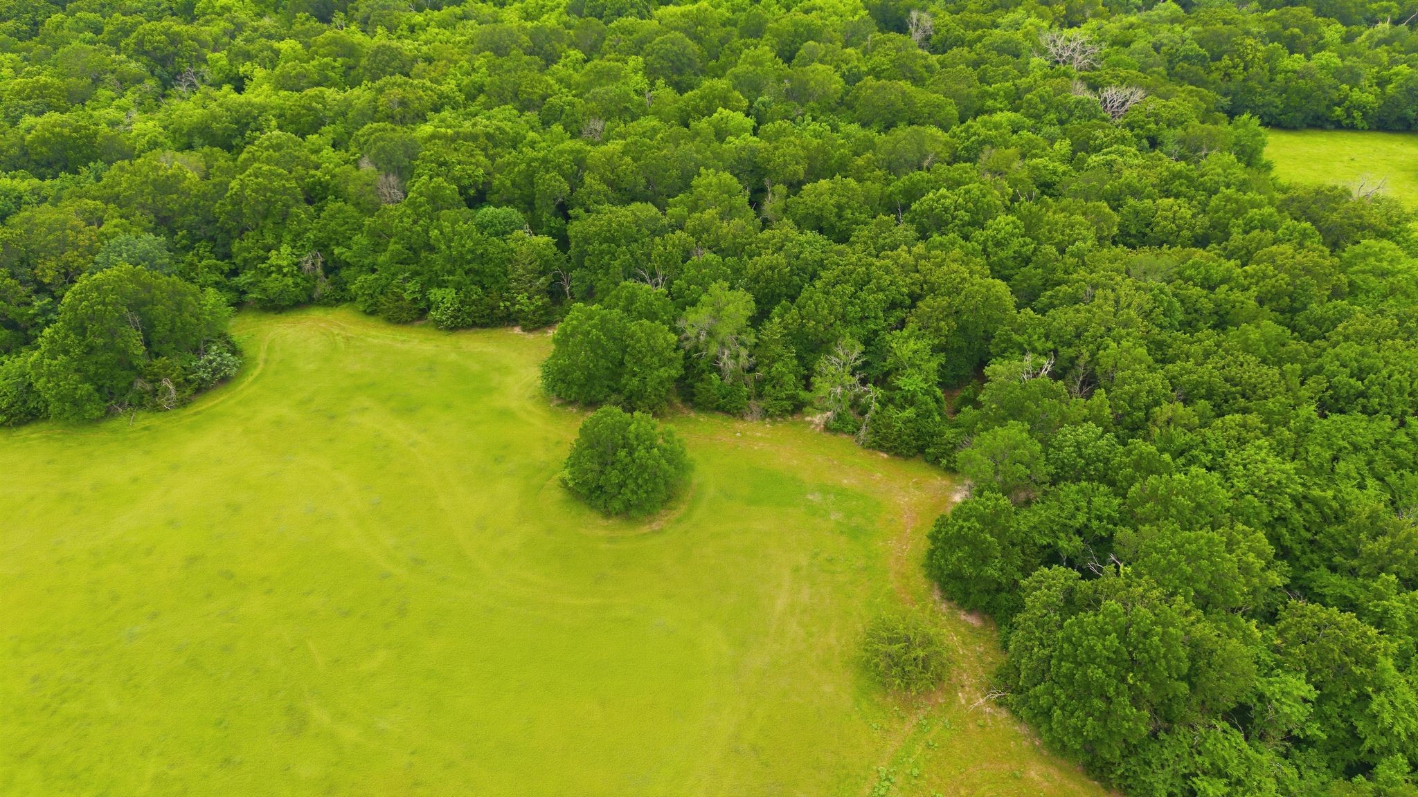 7635 County Road 4209 Campbell TX 75422