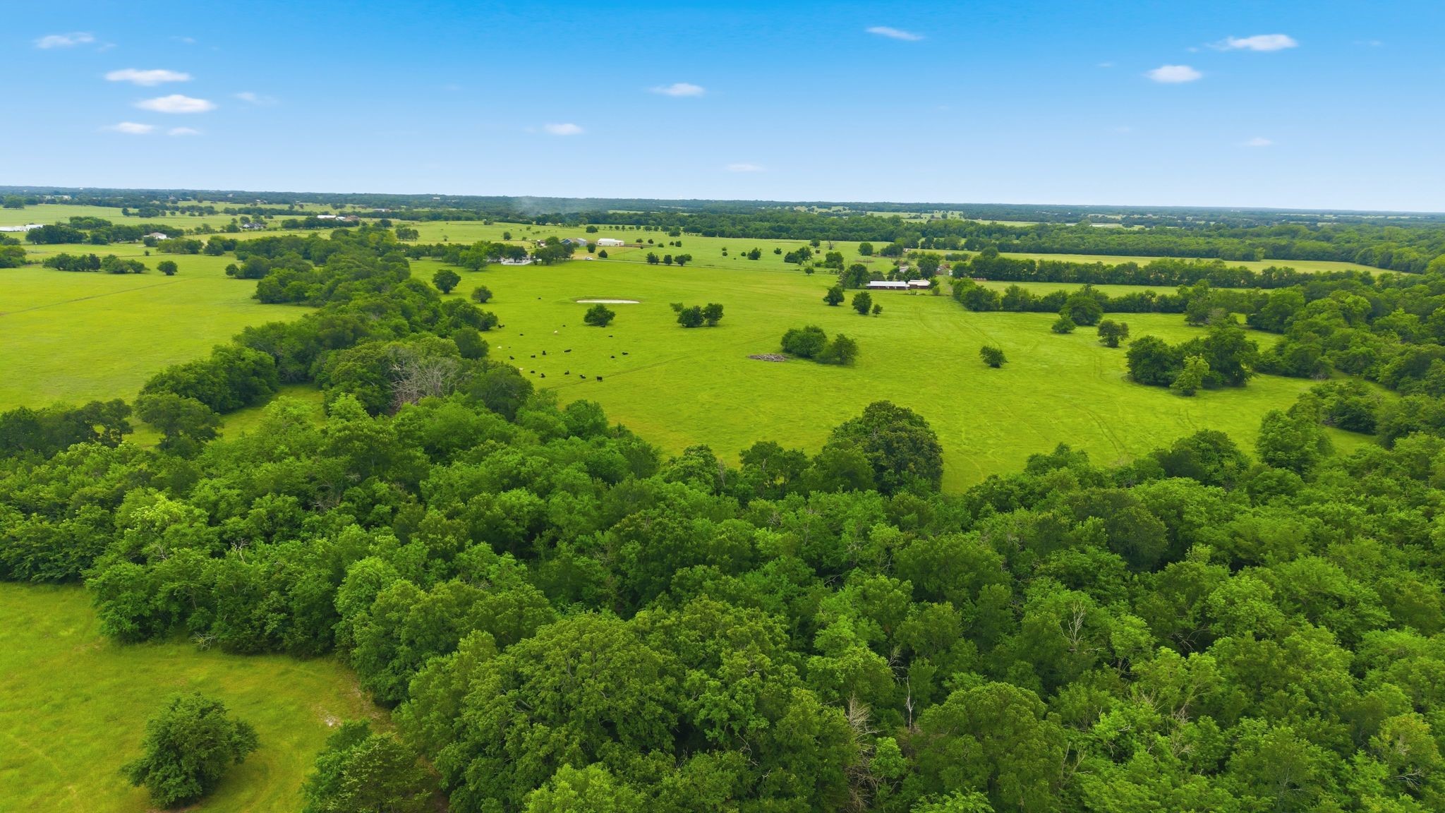7635 County Road 4209 Campbell TX 75422