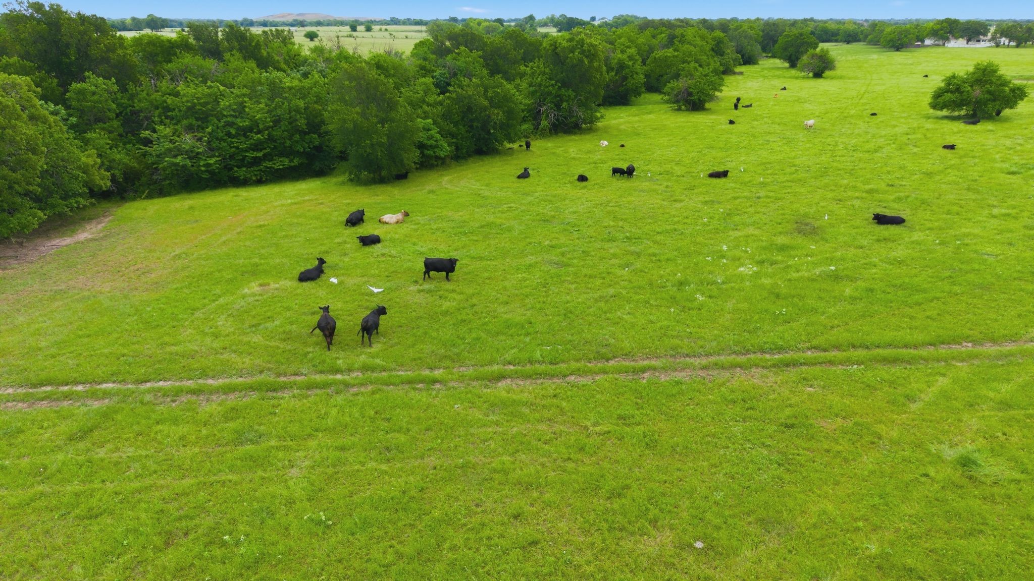 7635 County Road 4209 Campbell TX 75422