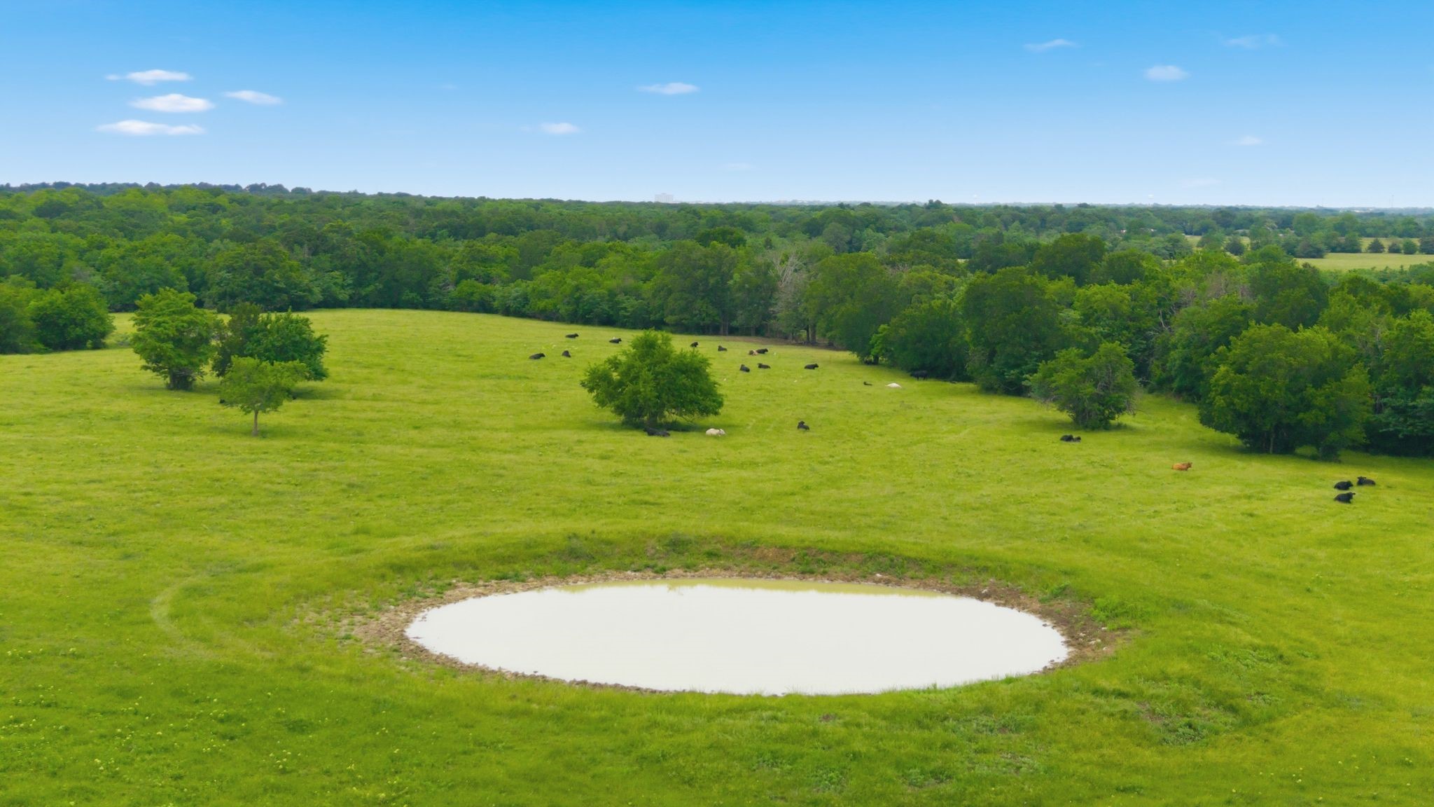 7635 County Road 4209 Campbell TX 75422
