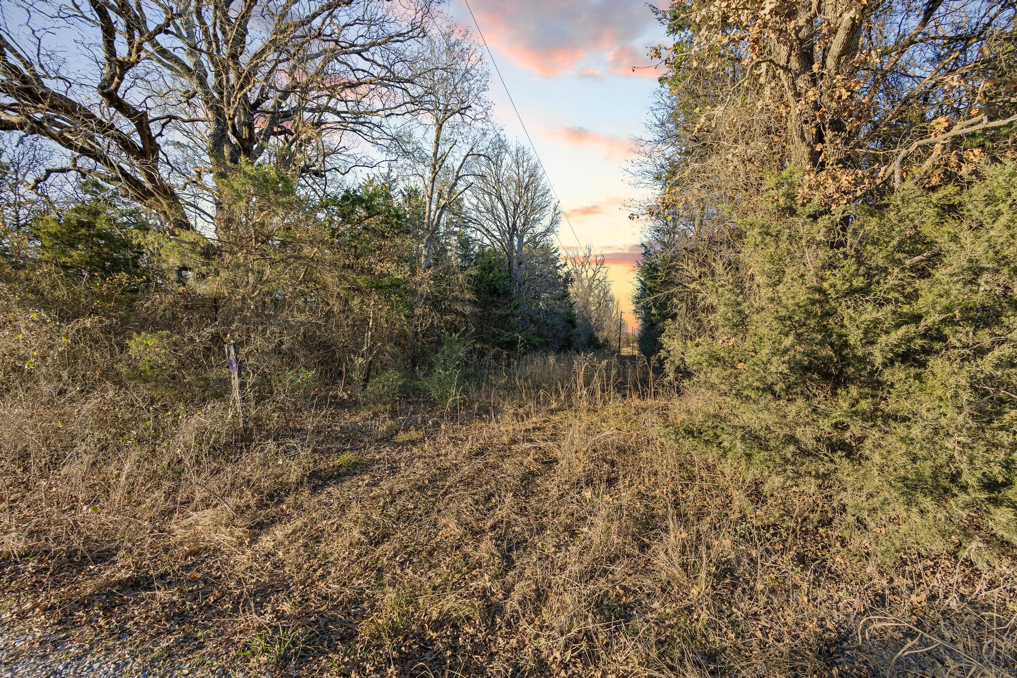 Tbd County Road 4618 Wolfe City TX 75496