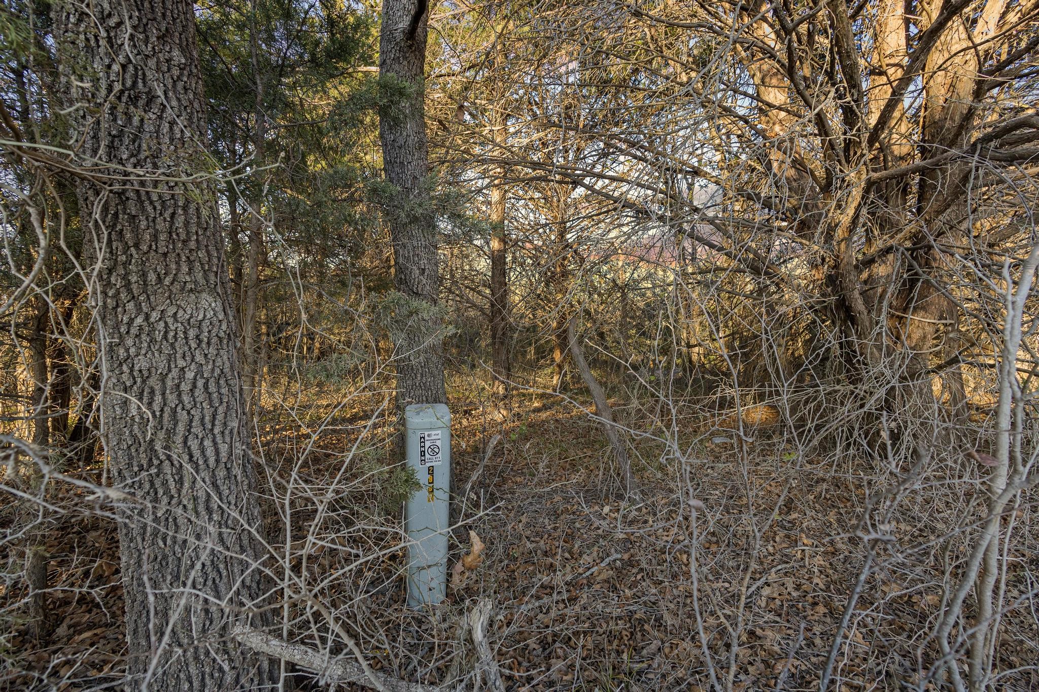 Tbd County Road 4618 Wolfe City TX 75496