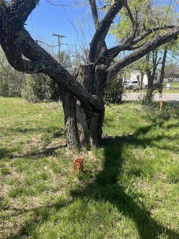 2312 Main Boulevard Brownwood TX 76801