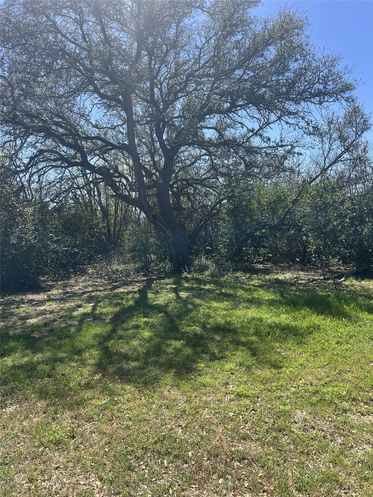 2312 Main Boulevard Brownwood TX 76801