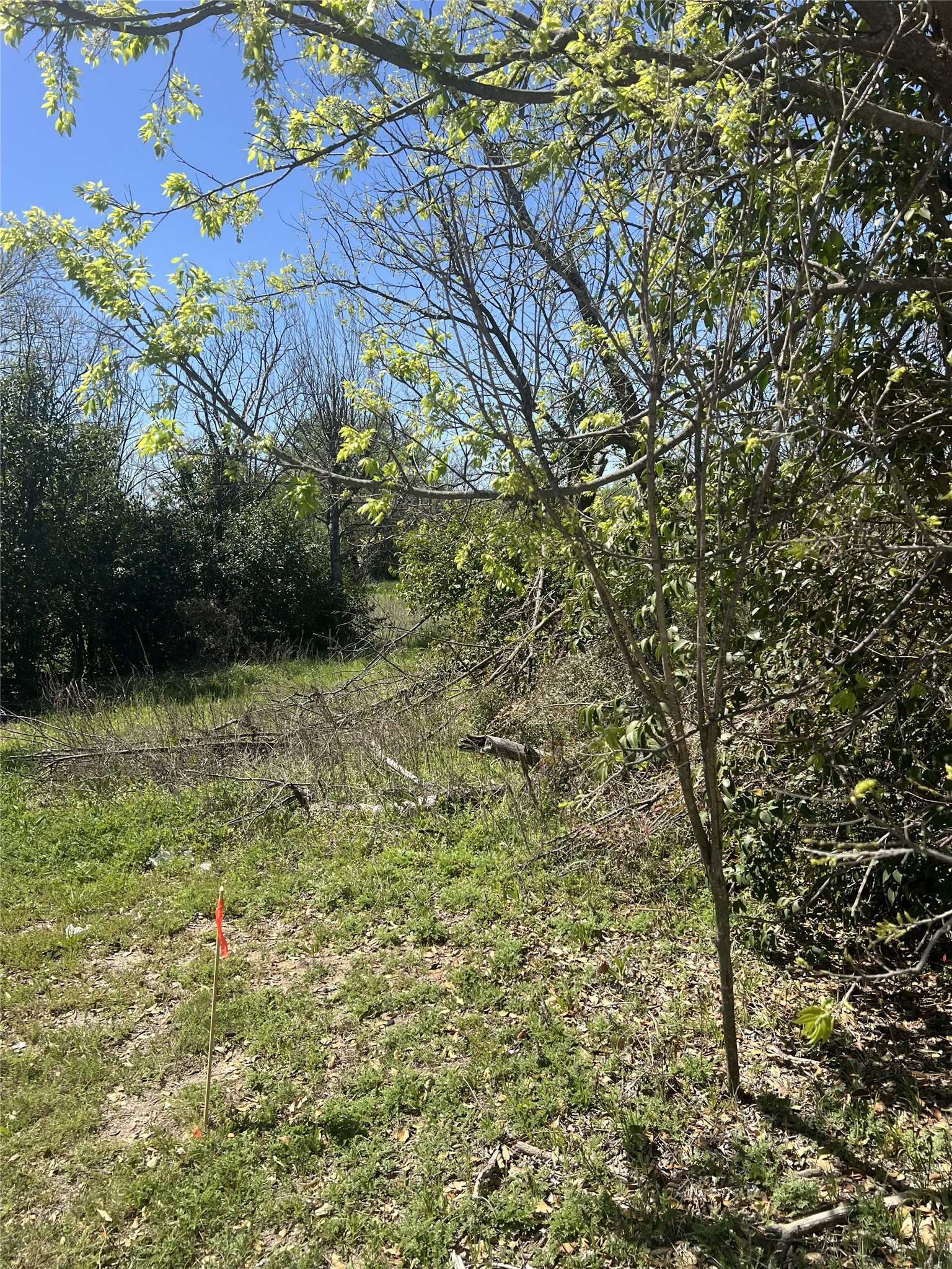2312 Main Boulevard Brownwood TX 76801