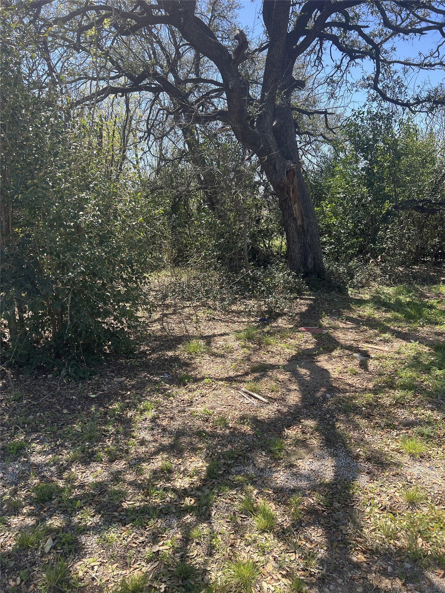 2312 Main Boulevard Brownwood TX 76801