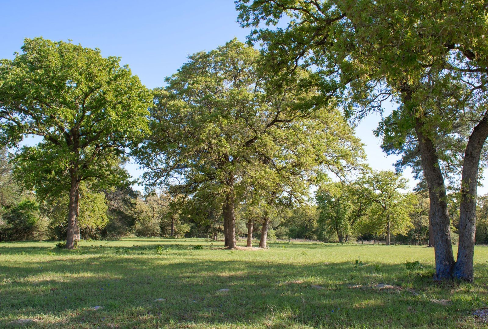 490 John Craft Road Red Rock TX 78662