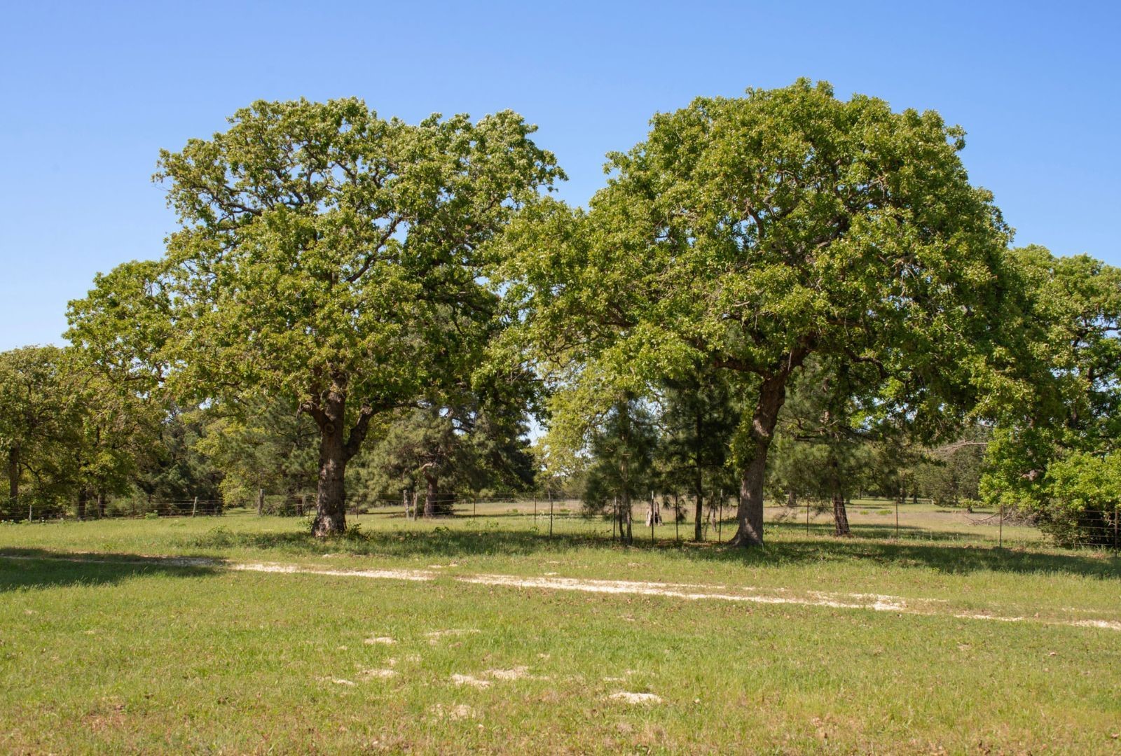 490 John Craft Road Red Rock TX 78662