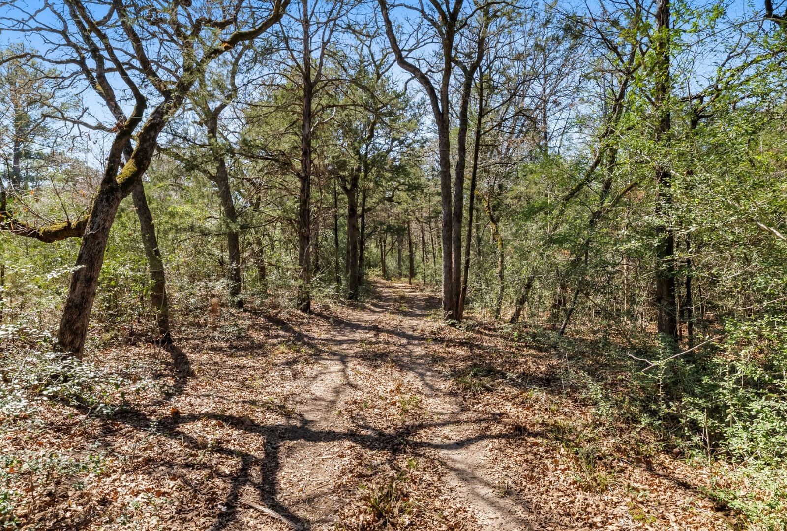 490 John Craft Road Red Rock TX 78662