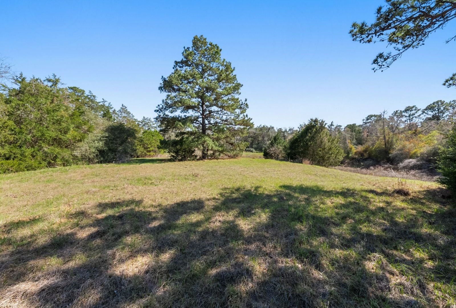 490 John Craft Road Red Rock TX 78662