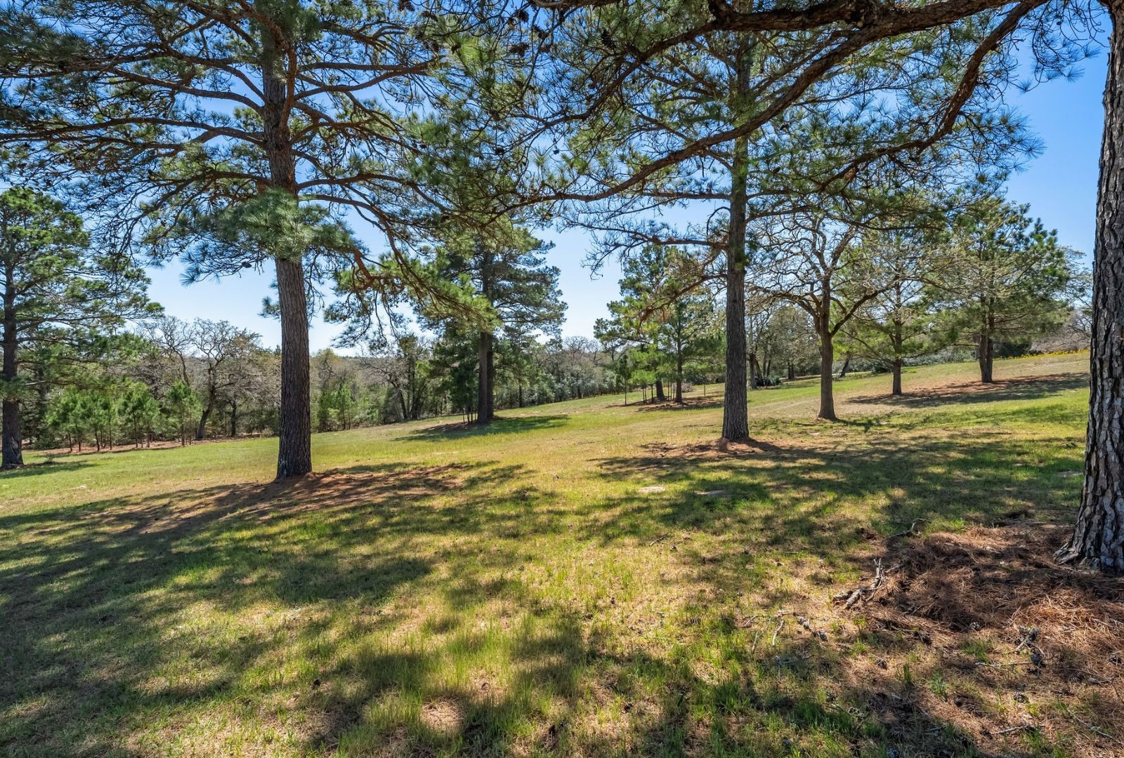 490 John Craft Road Red Rock TX 78662
