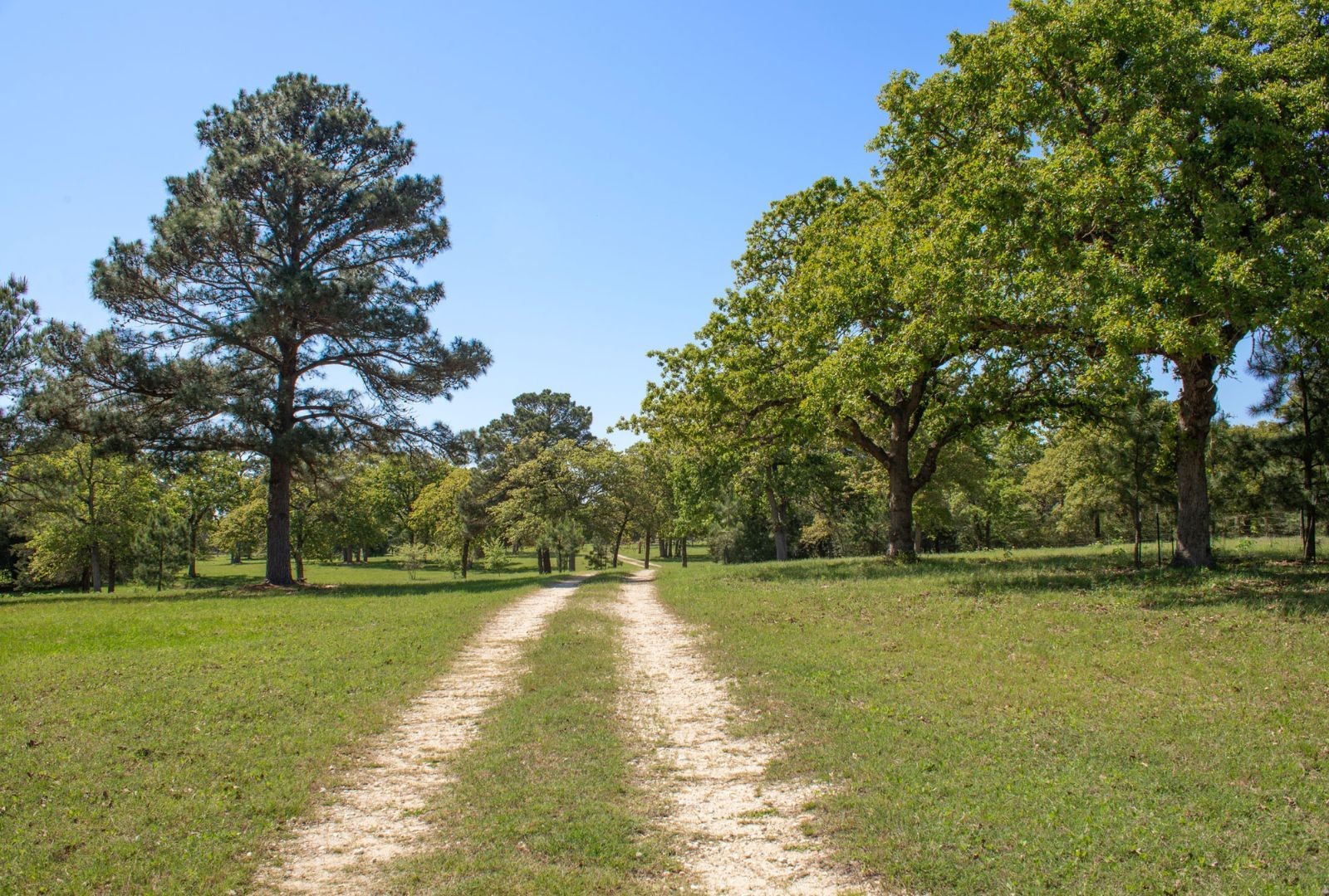 490 John Craft Road Red Rock TX 78662