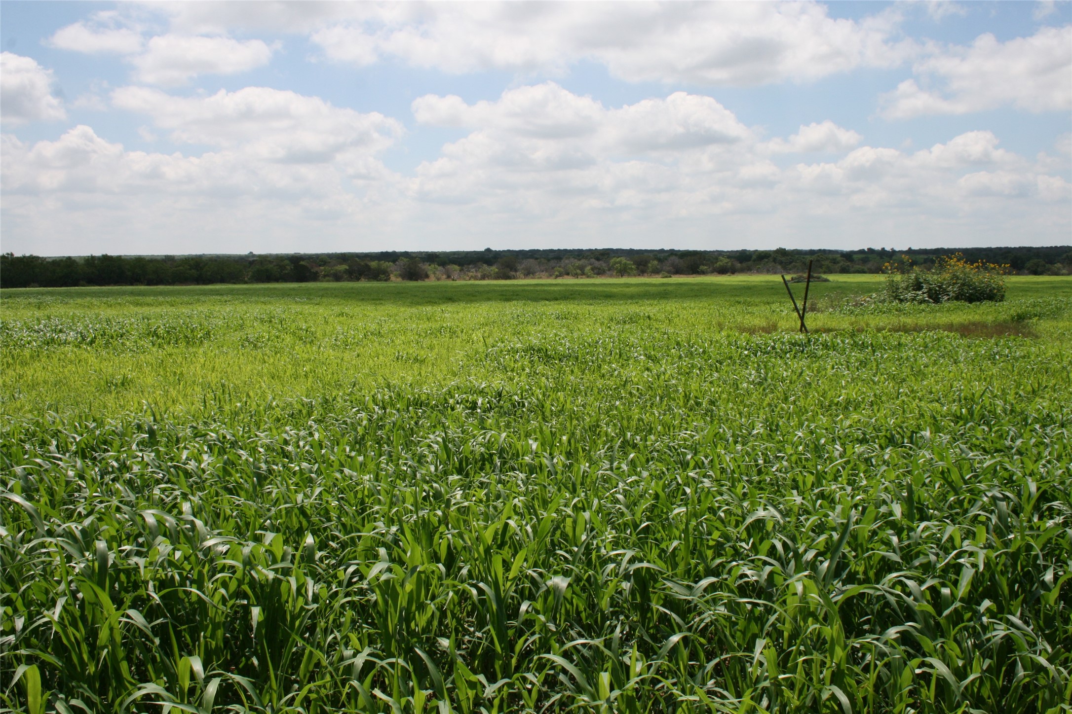 464 Upper Brad Road Strawn TX 76475