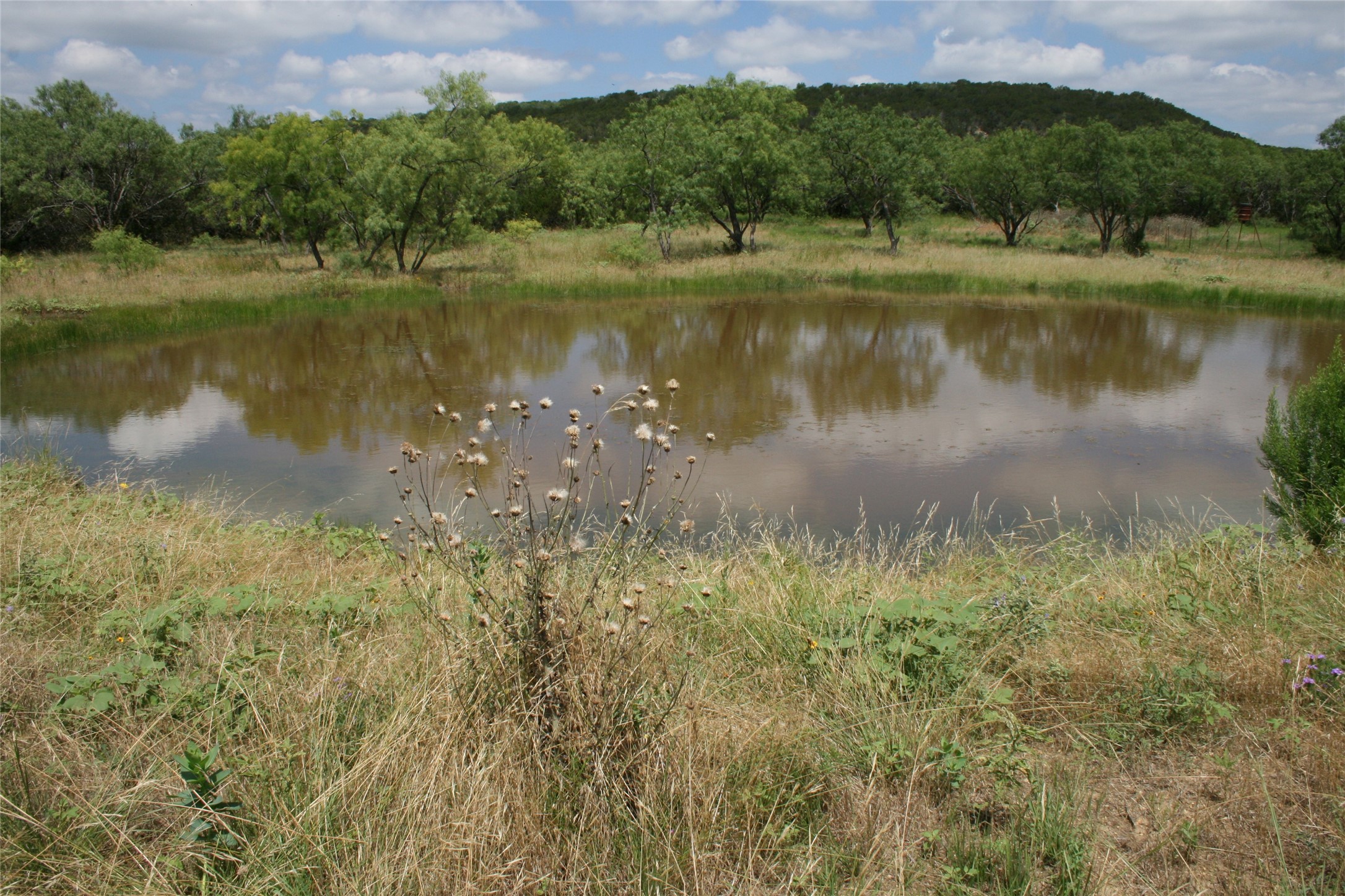 464 Upper Brad Road Strawn TX 76475