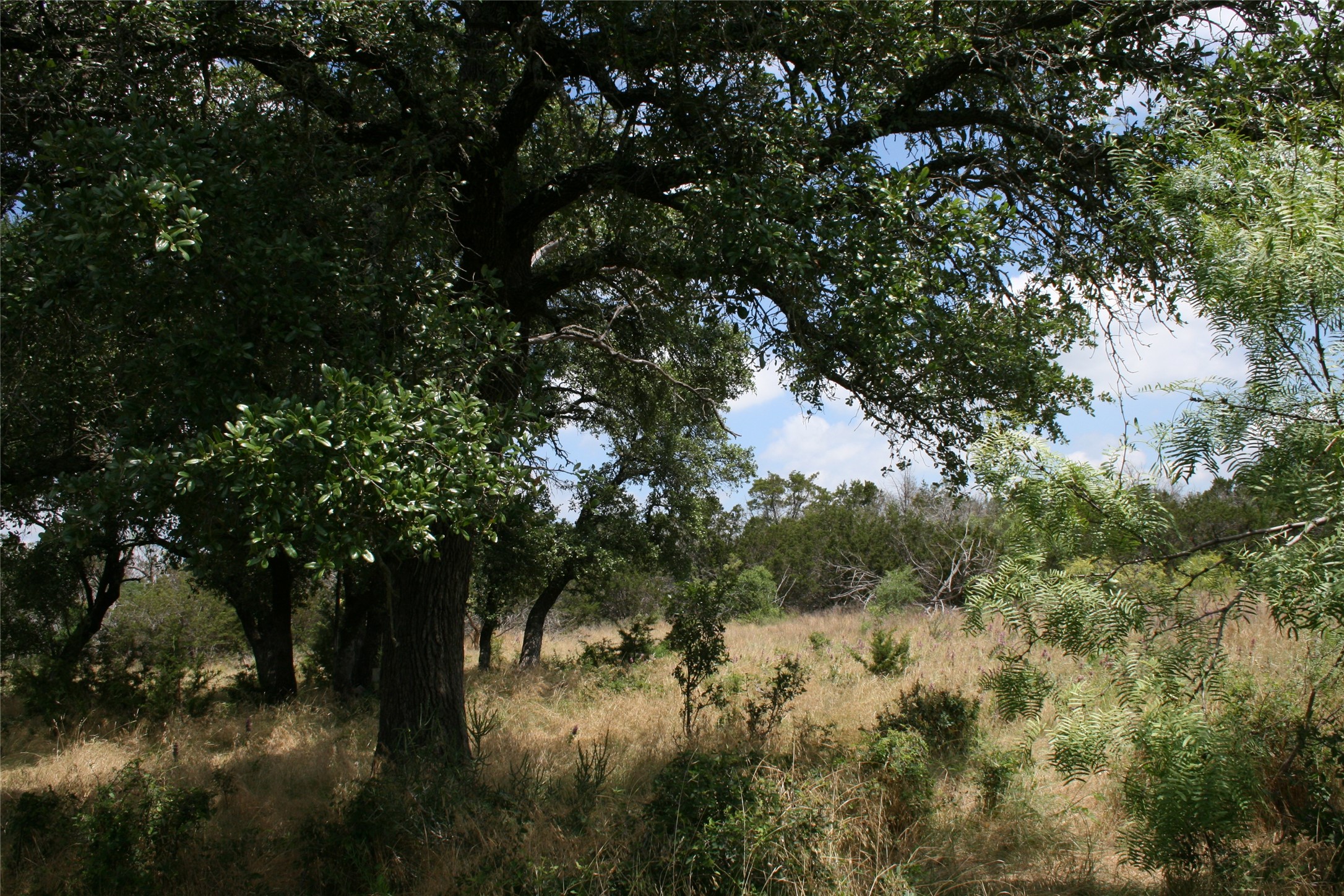 464 Upper Brad Road Strawn TX 76475