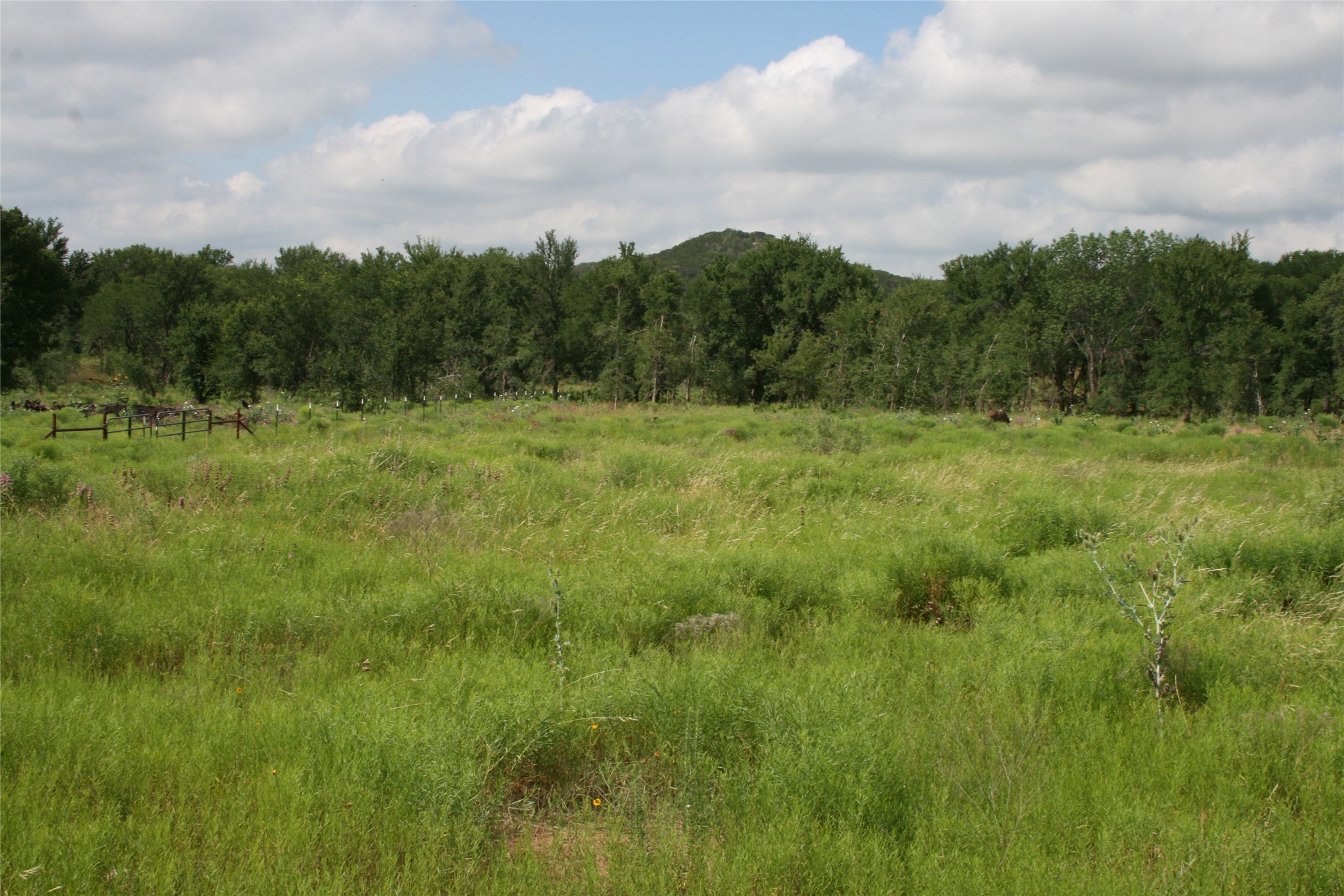 464 Upper Brad Road Strawn TX 76475