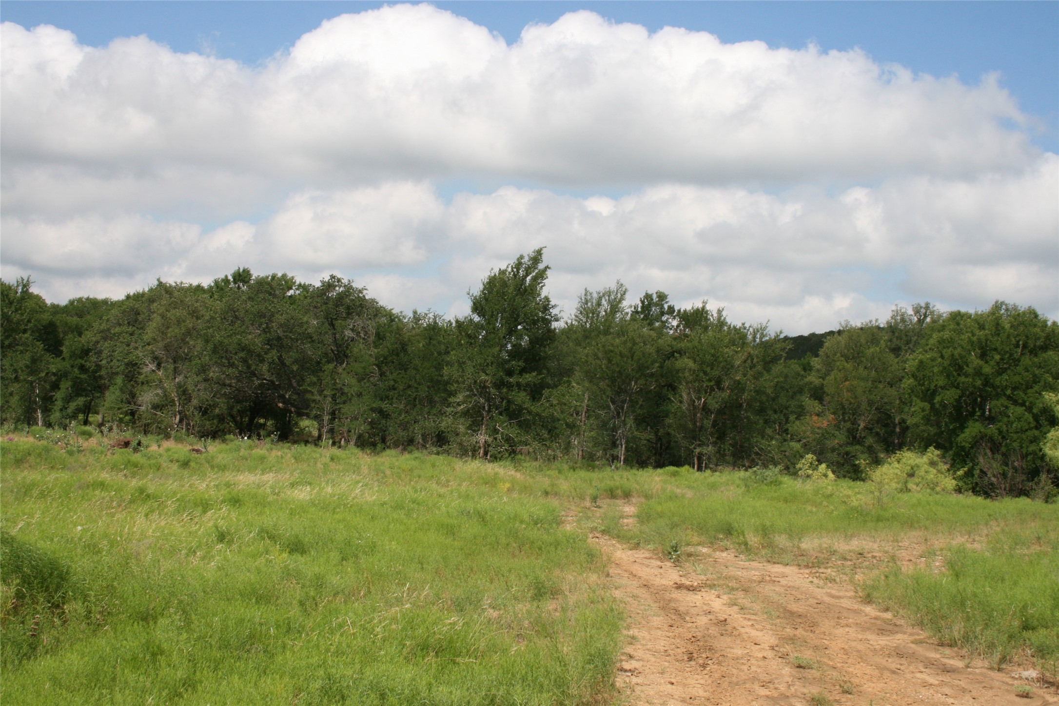 464 Upper Brad Road Strawn TX 76475