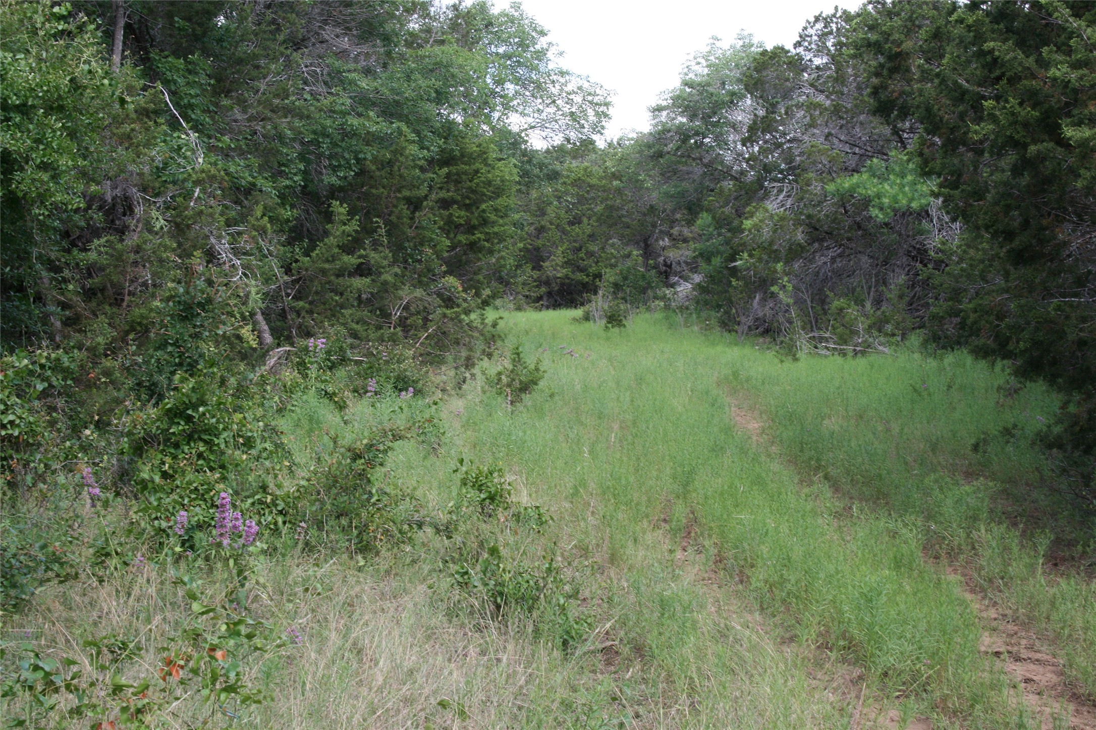 464 Upper Brad Road Strawn TX 76475