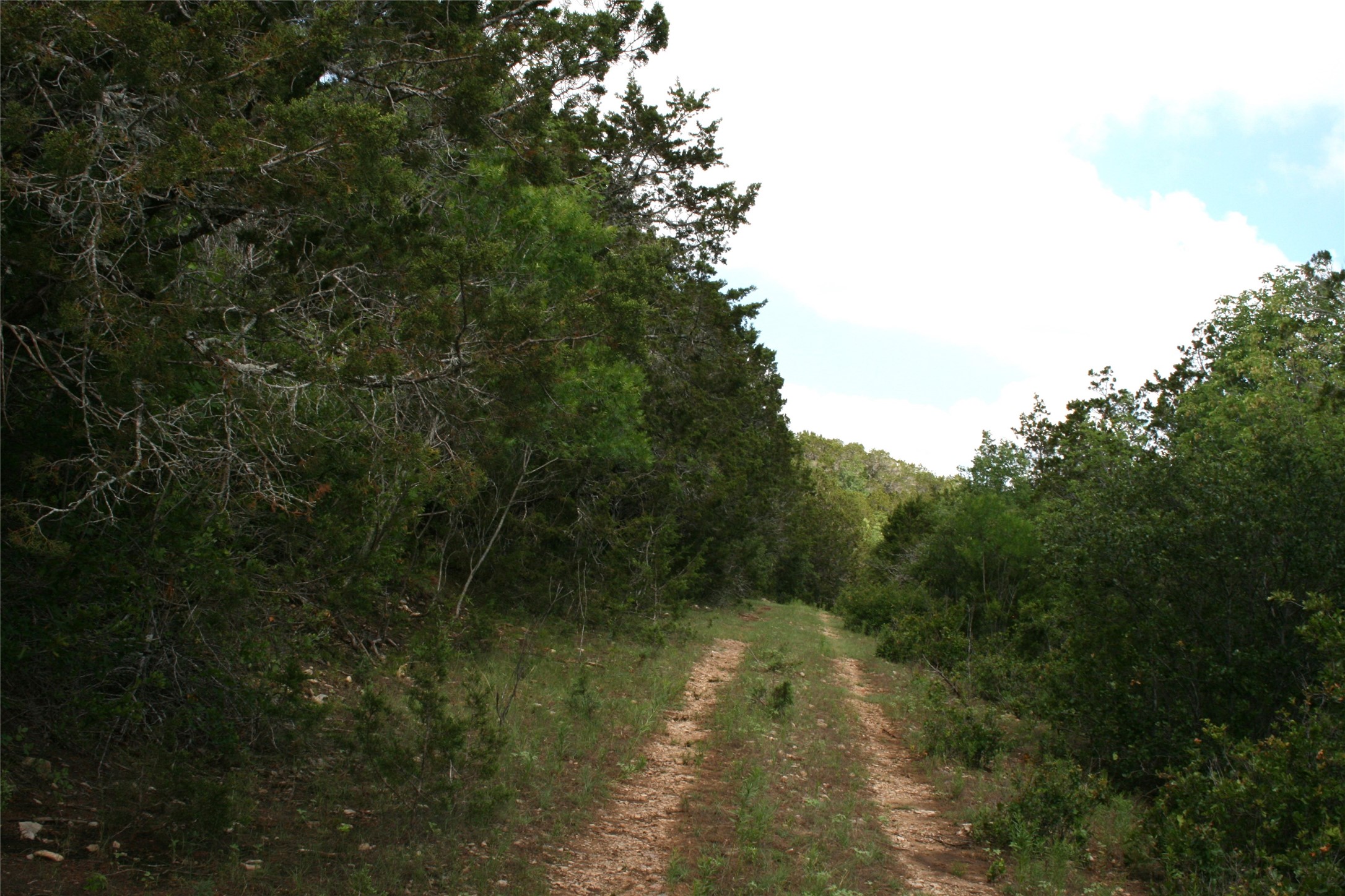 464 Upper Brad Road Strawn TX 76475